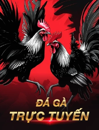 đá gà banner