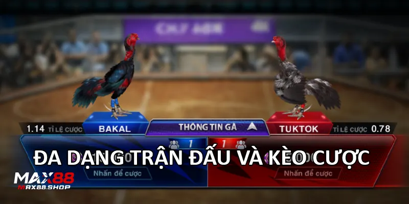 Đa dạng trận đấu và kèo cược