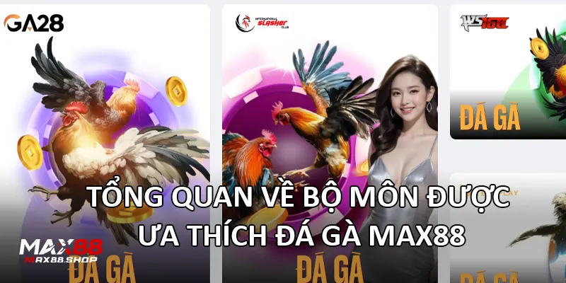 Tổng quan về bộ môn được ưa thích Đá Gà Max88
